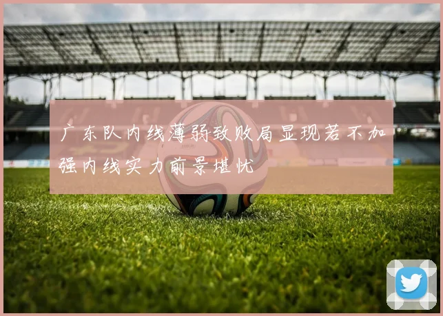 广东队内线薄弱致败局显现若不加强内线实力前景堪忧